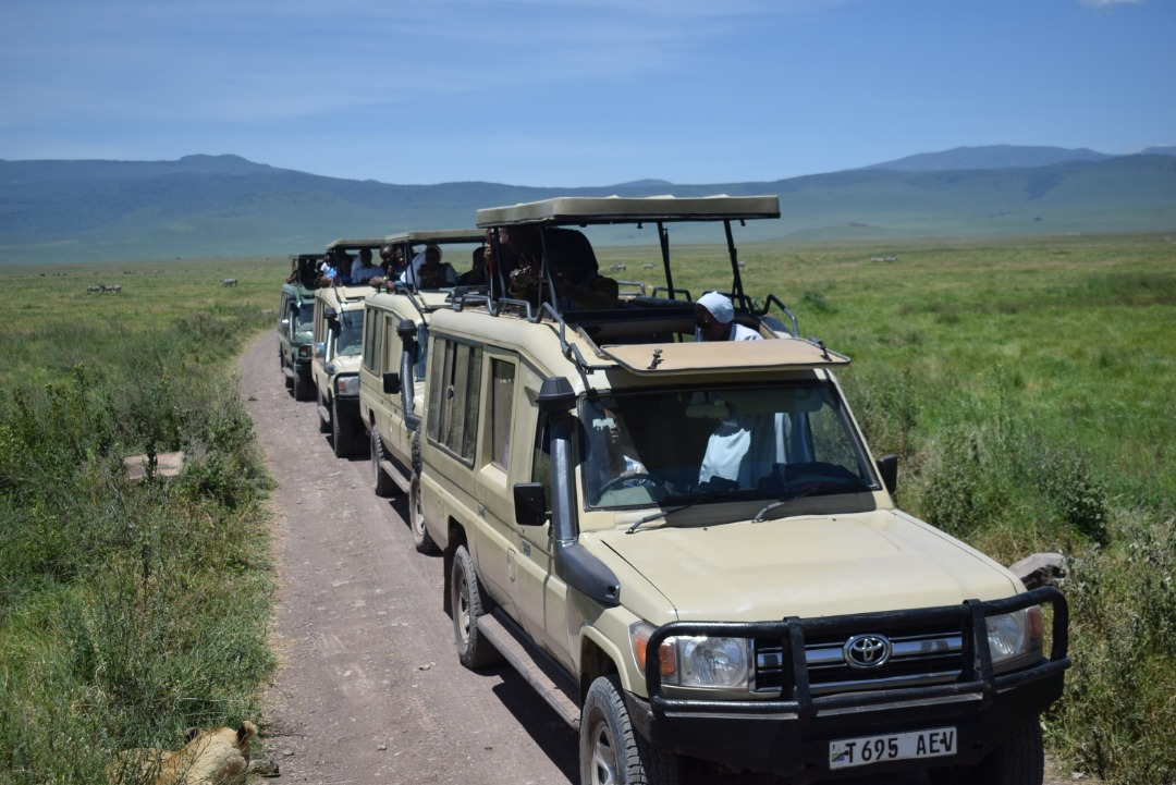 Ngorongoro Crater Tour